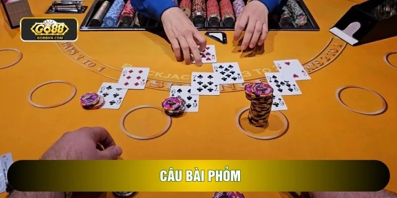 Câu Bài Phỏm: Chuyên Sâu Chiến Thuật Định Đoạt Ván Cược